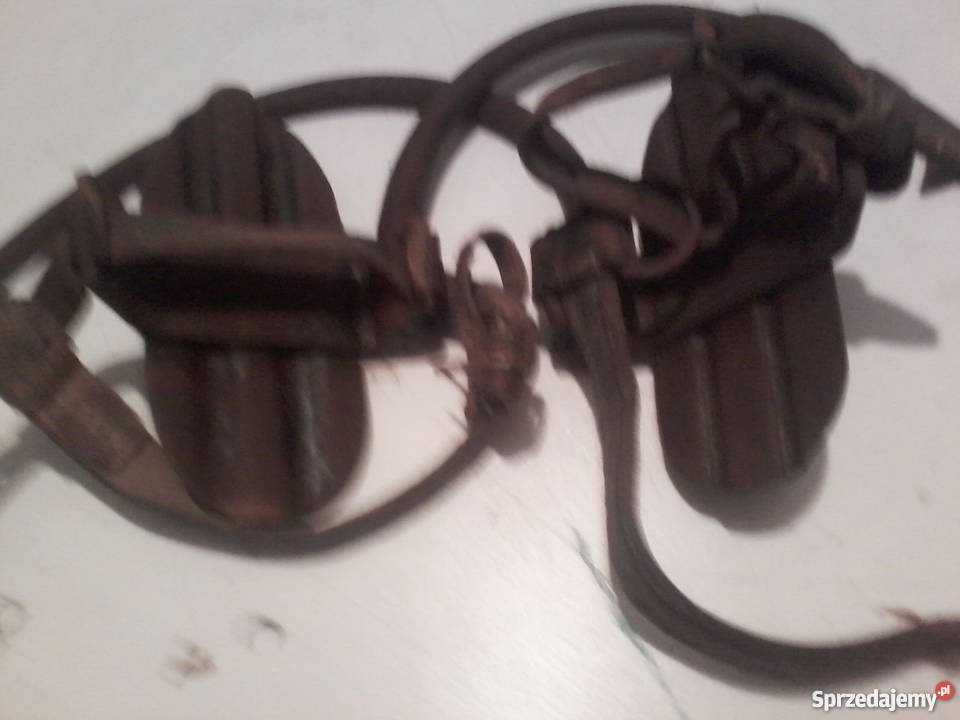 Stare słupołazy drzewołazy Dulcza Wielka sprzedam