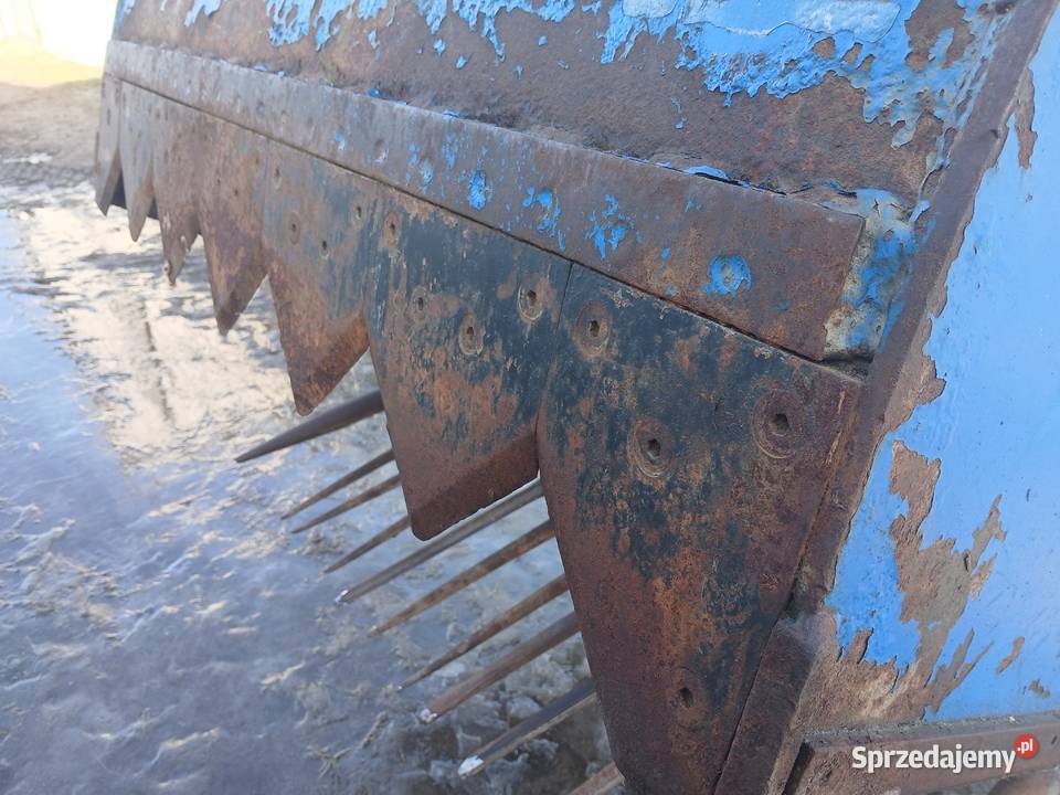 Wycinak nieuszkodzony Korycin