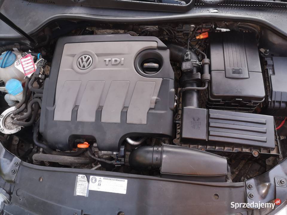 Golfi VI 16 TDI Highline 36l100 nwe sprzęgłoEGR 264000km Golf
