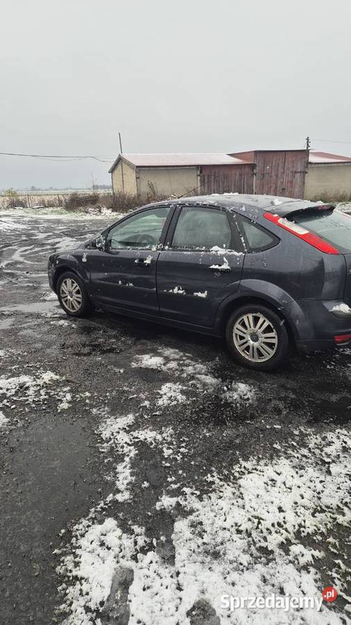 Ford focus Focus Białopole