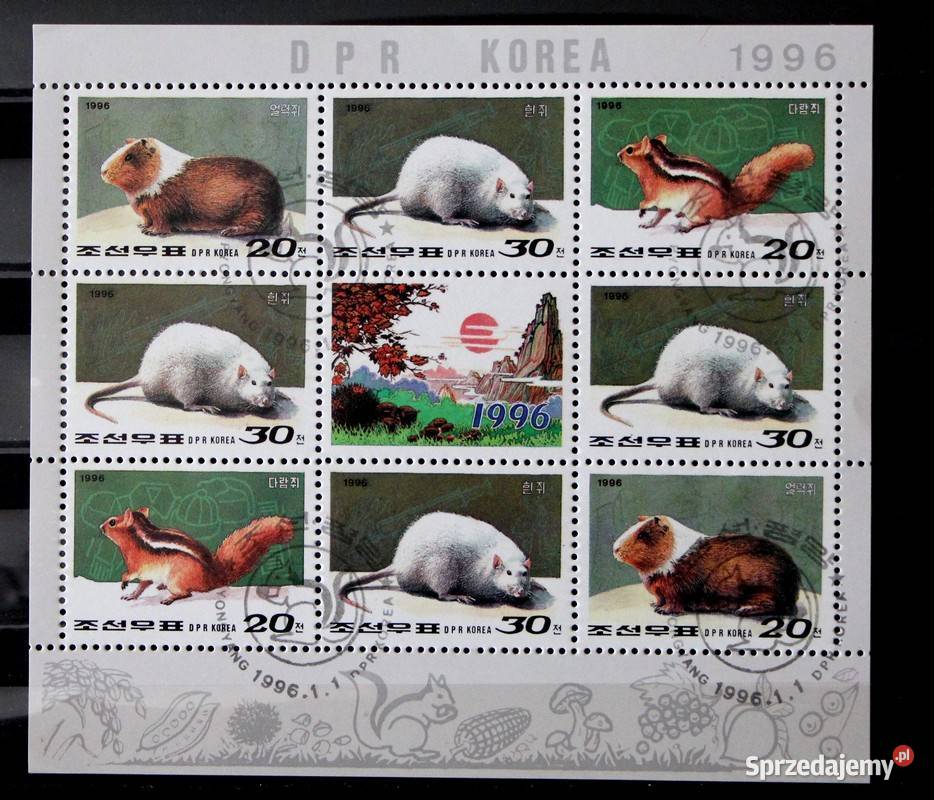 Korea arkusik Oborniki sprzedam