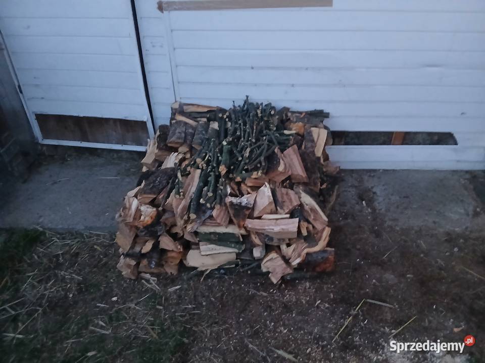 Drzewo jabłoni do wędzenia małopolskie Skawa sprzedam