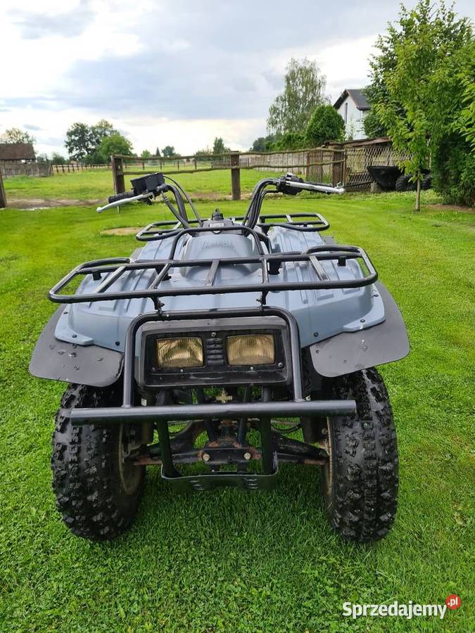 Yamaha big beear Pszczyna