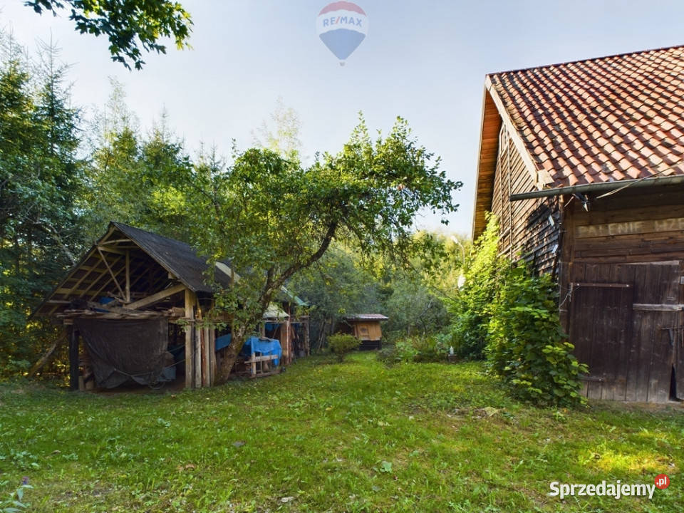 Siedlisko na Mazurach asfalt