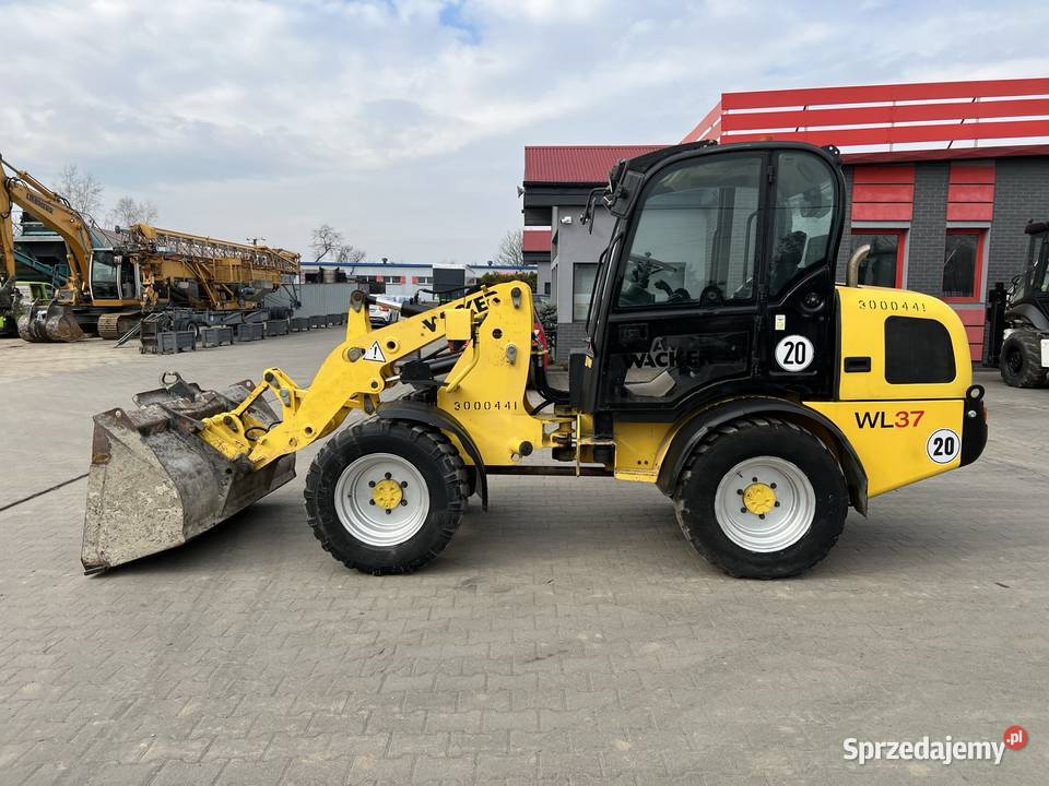 Ładowarka kołowa Wacker Neuson WL 37 Zator