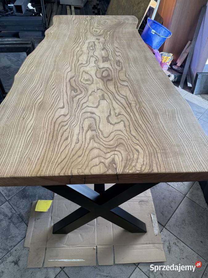 Piękny Jesion z nogami pająk 75cm Kielce