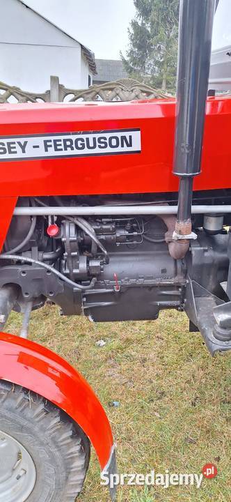 Ciągnik Massey Ferguson 165 Drzewica