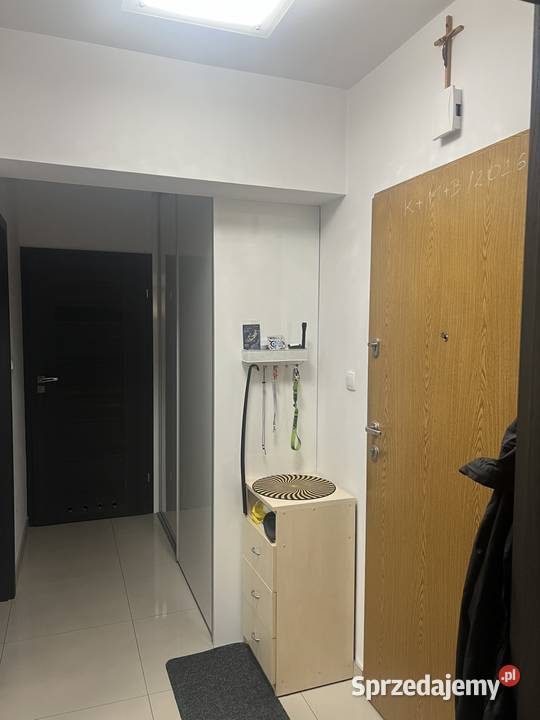 Wynajem 50m2 Rzeszów podkarpackie