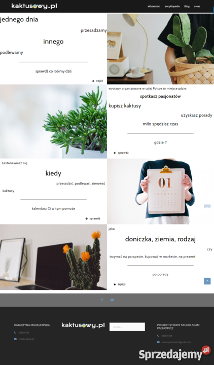 Projektowanie tworzenie stron internetowych Usługi informatyczne wielkopolskie Konin