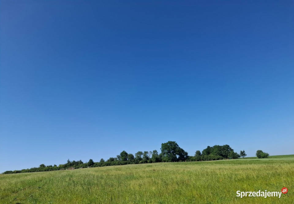 16 ha ziemi Gorzanów 10zł/m2