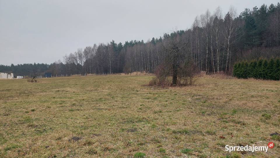 Sprzedam działki budowlane świętokrzyskie Krasocin