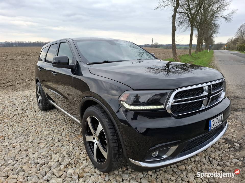 Czarna perełka Pniów