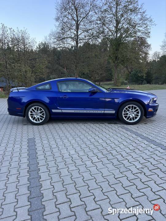 Ford Mustang 37 v6 305 koni PREMIUM automat immobilizer Majków sprzedam