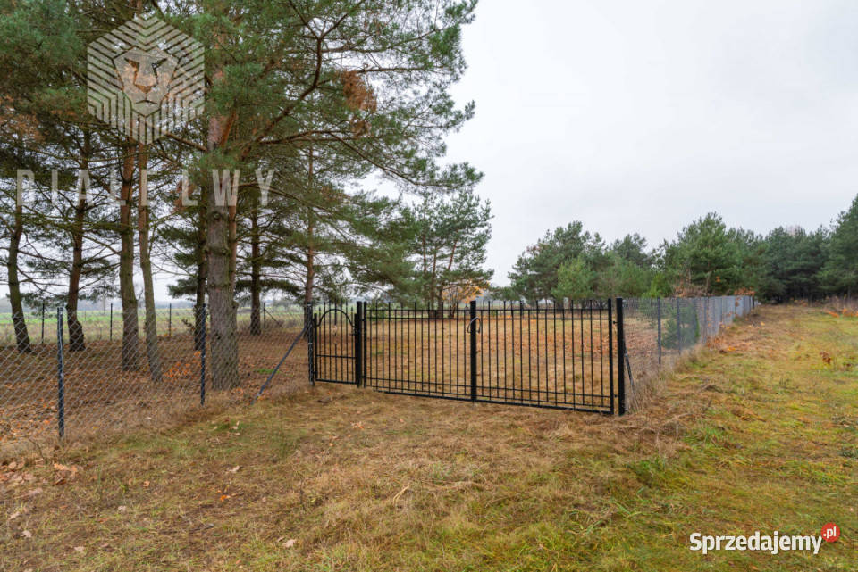 Grunt 934m2 Jachranka gaz Sprzedaż