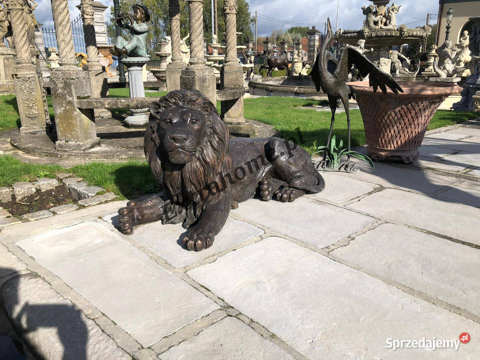 Król Lew Lew z brązu 145 figura z brązu Dekoracje i ozdoby Wrocław