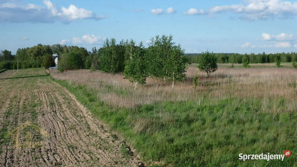 Działka w Gadce gmina Kołbiel sprzedam