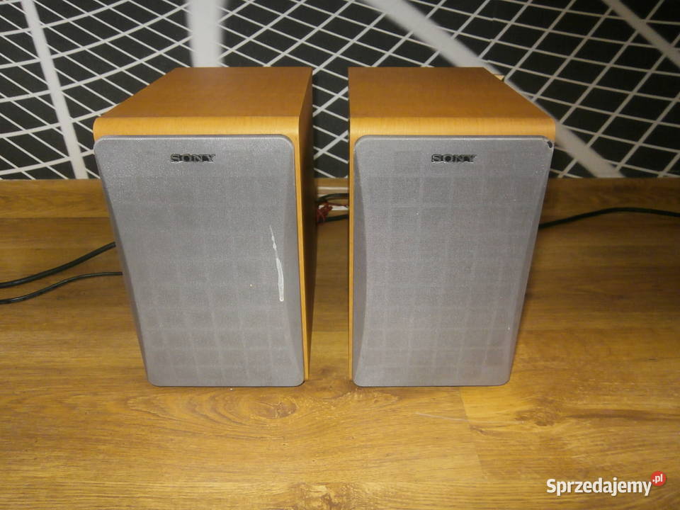 Kolumny SONY SSCCP1 sprawne ładne Słuchawki i głośniki Łódź
