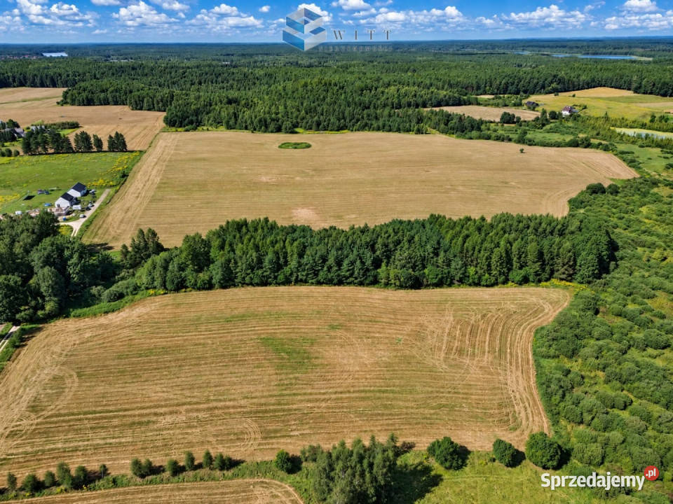 sprzedaży gruntu Zwierzewo 3124m2 sprzedam
