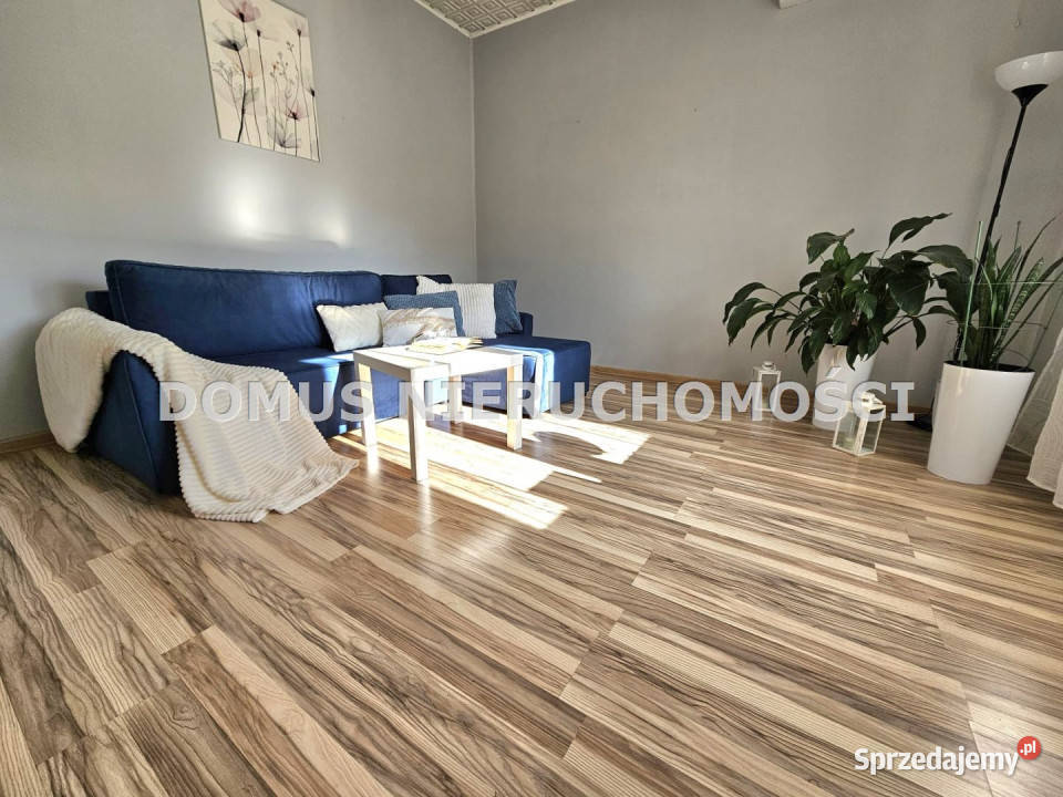 sprzedaży domu wolnostojącego 100m2 Niesułków Sprzedaż sprzedam