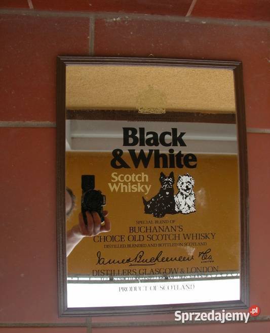 obrazy obrazki różne wyprzedaż lubuskie Gorzów Wielkopolski