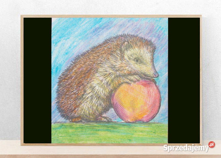 jeż obrazek A4 zwierzęta plakat 21x30 retro wielokolorowy Olsztyn sprzedam
