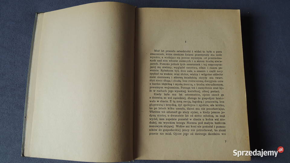 Książka Cham Eliza Orzeszkowa podlaskie