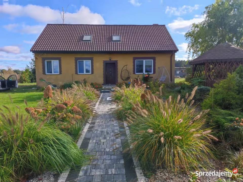 Dom Garaż hala działka Sprzedaż Michalinów