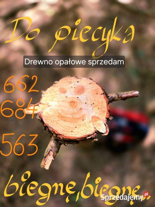 Drewno opałowe z przewiewnej hali