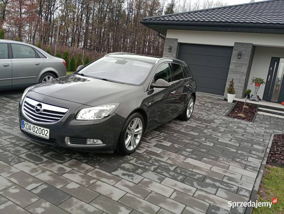 Opel Insignia BiTurbo Dąbrowa Tarnowska