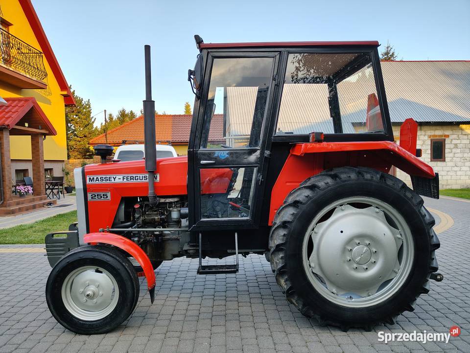 Massey Ferguson 255 Chełm sprzedam