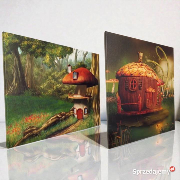 Obraz dziecięcy 50x40 2 SZTUKI Obrazki i obrazy Biała Rawska sprzedam