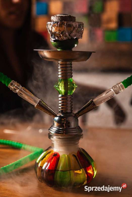 Szisza Dwa Węże z Akcesoriami 11w1 Multikolor 27 śląskie