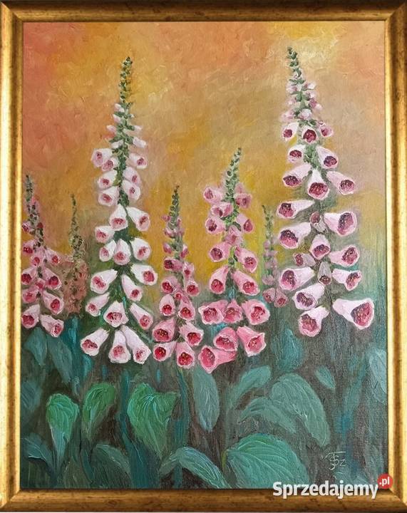 Obraz olejny Naparstnice lubelskie Lublin