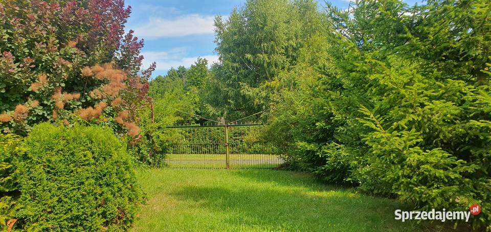 Duża działka ROD w Rodzinnym Ogrodzie działkowym Lublin