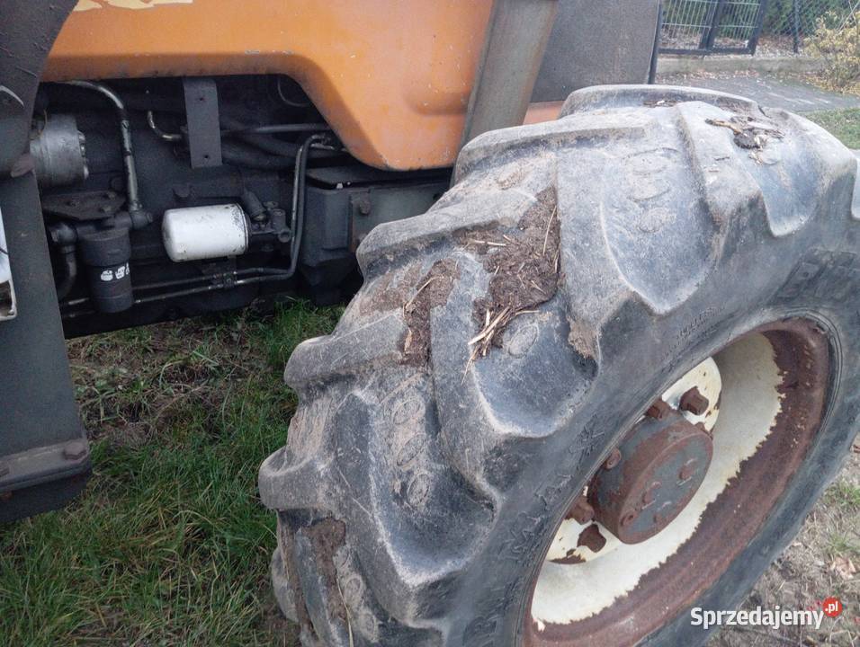 Renault ceres z mailleux Grabowo