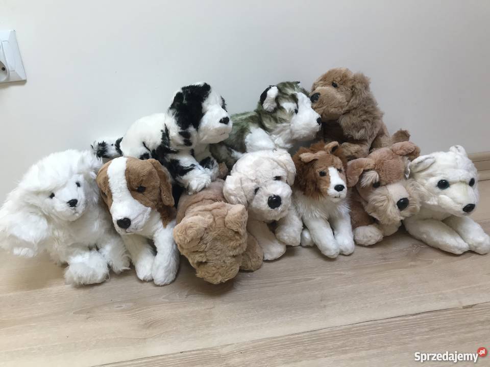 Rodzinka 10 Piesków ROXI Strzyżowice