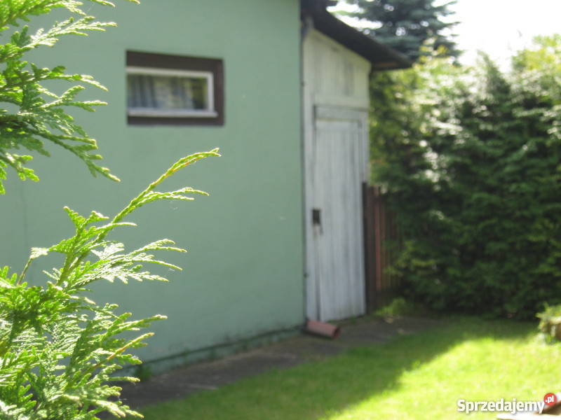 Działka ROD Camping Poznań domek murowany Grunty i działki wielkopolskie Poznań