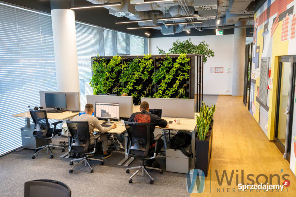 Ogłoszenie lokal Gdańsk 20m2