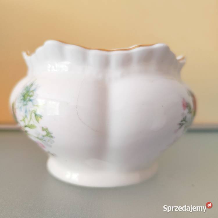 Zestaw porcelany Aynsley Wild Tudor Warszawa