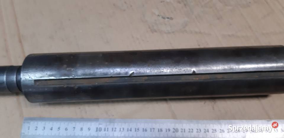 Tuleja konika wielkopolskie Leszno