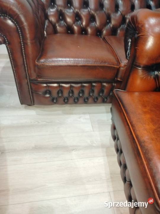 Chesterfield angielski Biała Podlaska