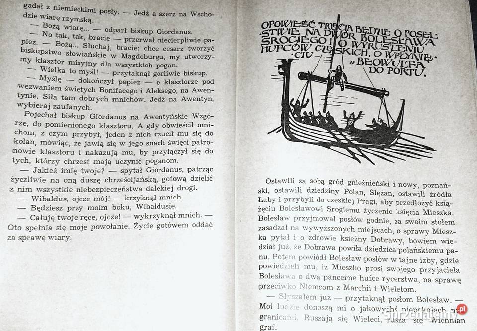 Wikingowie Jerzy Cepik Chełm