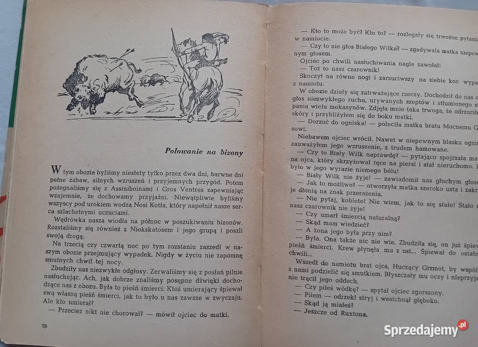 Arkady Fiedler Mały Bizon Iskry 1958r Wydanie V Koźminek sprzedam