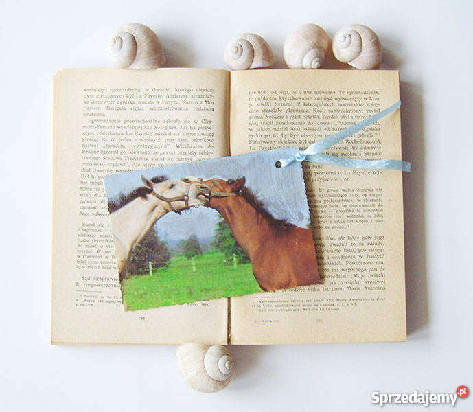 koniki zakładka do książki koń zakładka konie wielokolorowy śląskie Katowice