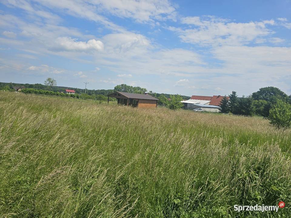Domek na działce 20 arowej Osłowice