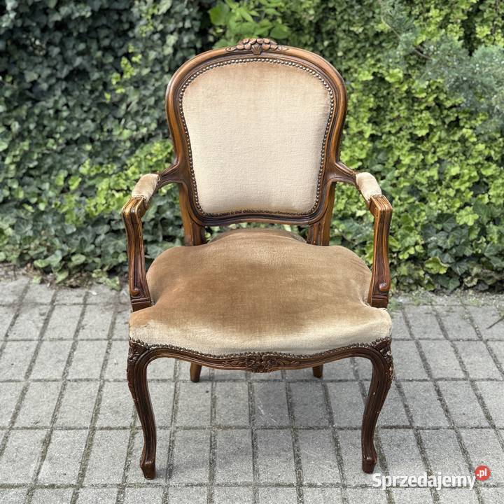 ARTexpert Wygodny Pałacowy fotel Ludwik welur Dobrzany