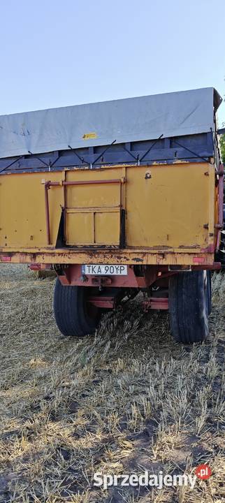 Przyczepa tandem wywrotka 12t skorupowa Kijany