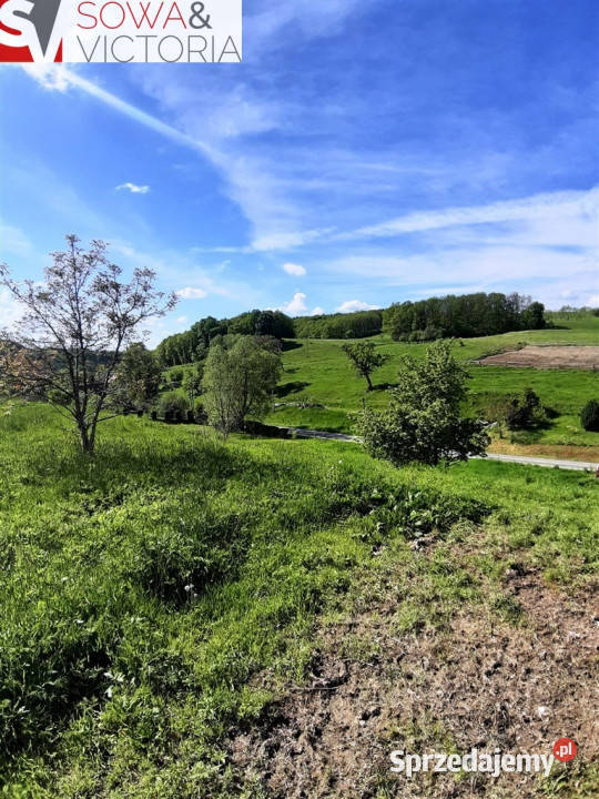 Działka w Cieszowie Cieszów