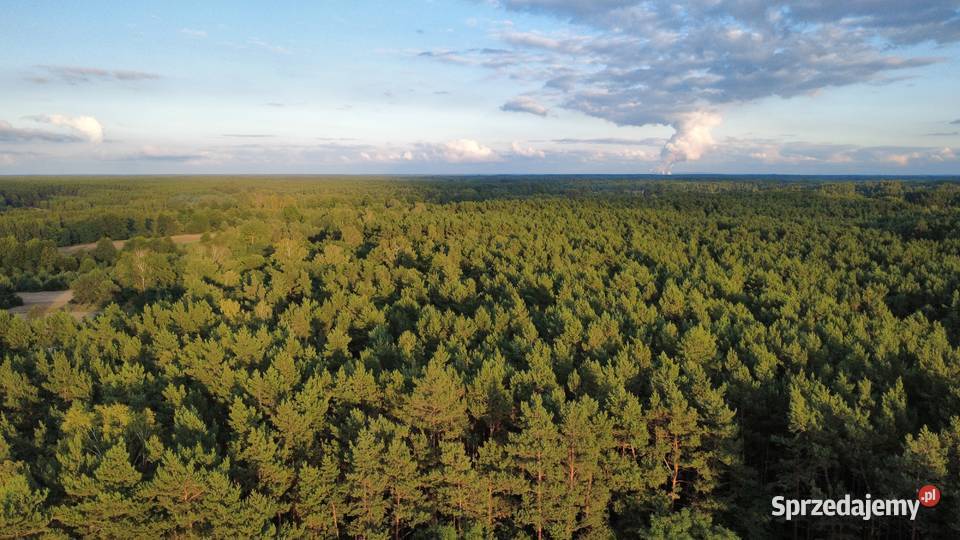 Usługi filmowania dronem łódzkie