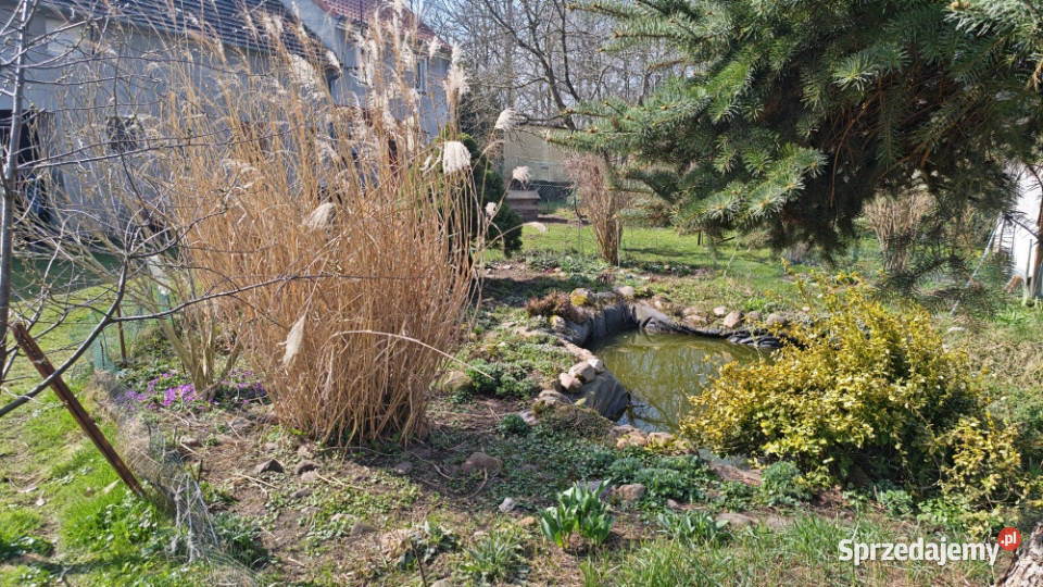 Sprzedam dom w spokojnej okolicy niedaleko lasu Trójca